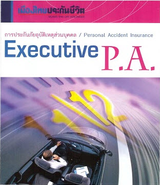 Executive PA