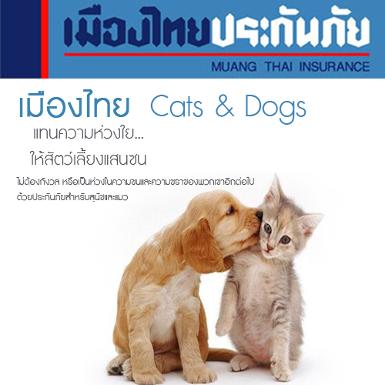 ประกันภัยสัตว์เลี้ยง เมืองไทย Cats & Dogs